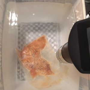 SousVide